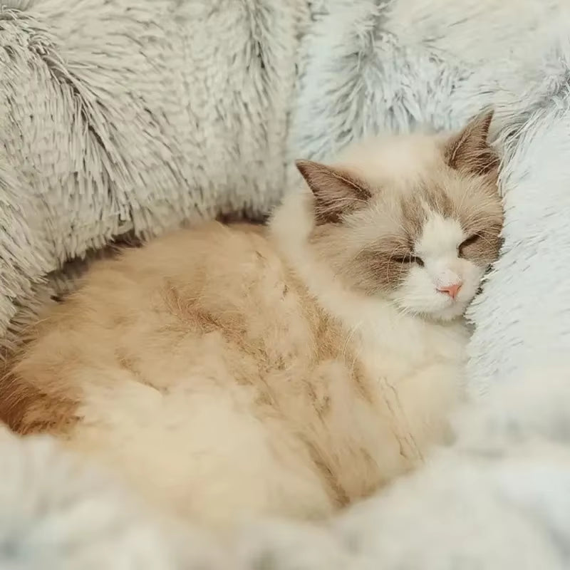 Cozy Cat Bed