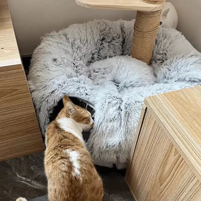 Cozy Cat Bed